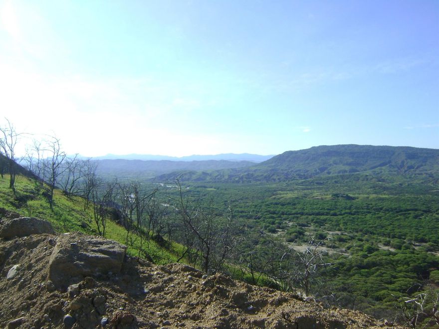 150 acres of hillside property overlooking the Pacific Ocean. The property sits 450 feet above sea level providing panoramic views and amazing sunsets. This gated community has water and electricity on site along with an architect/builder to create your custom home. Each treed lot has ocean views and can be combined for a larger parcel. Mancora is famous for attracting surfers, kite boarders and scuba divers. A SMART INVESTMENT for a vacation/retirement property for the savvy individual that wants to get in on an exploding market. Hotels, shops and restaurants await the multitude of travelers looking for serenity. Magical beaches, sunny days all year round, perfect waves and delicious cuisine located in Peru's Northern Coast.