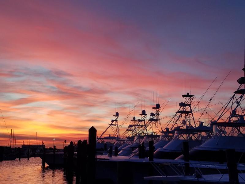 METES AND BOUNDS - Land