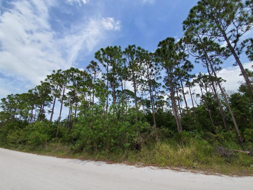 METES AND BOUNDS - Land