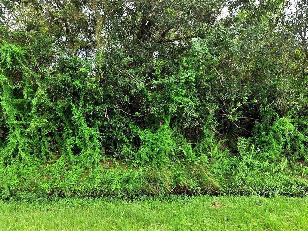 Photo of 1991 SW Granello Terrace, Port Saint Lucie, FL 34953 (MLS # R10752508)