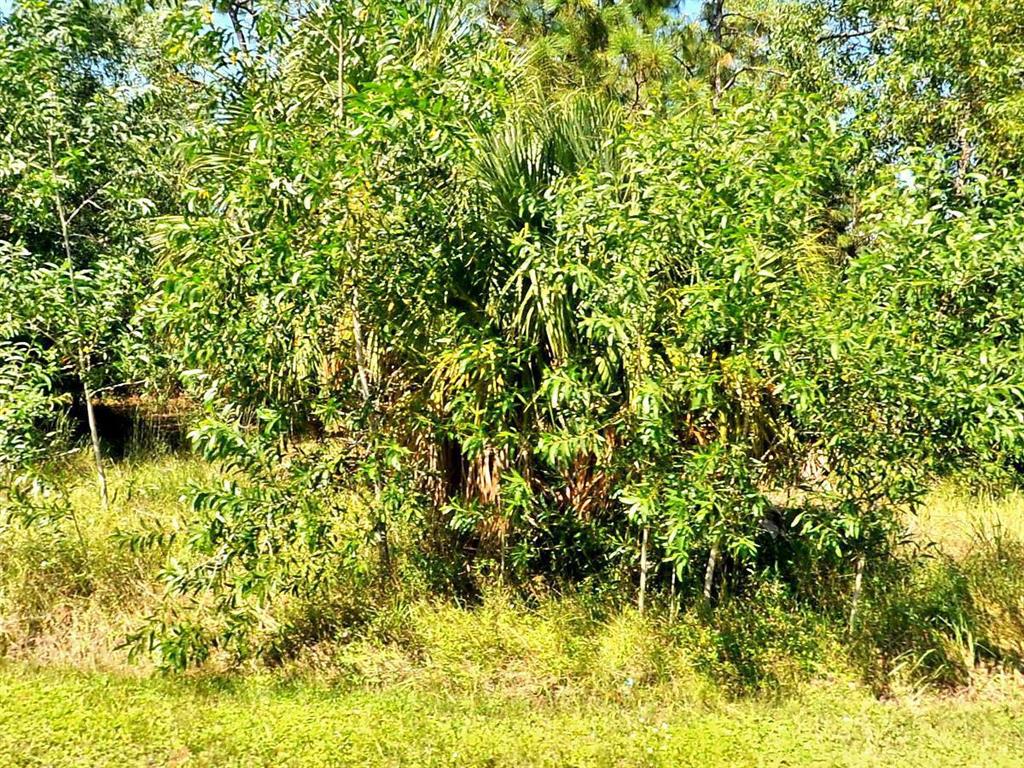 PORT ST LUCIE SECTION 44 - Land
