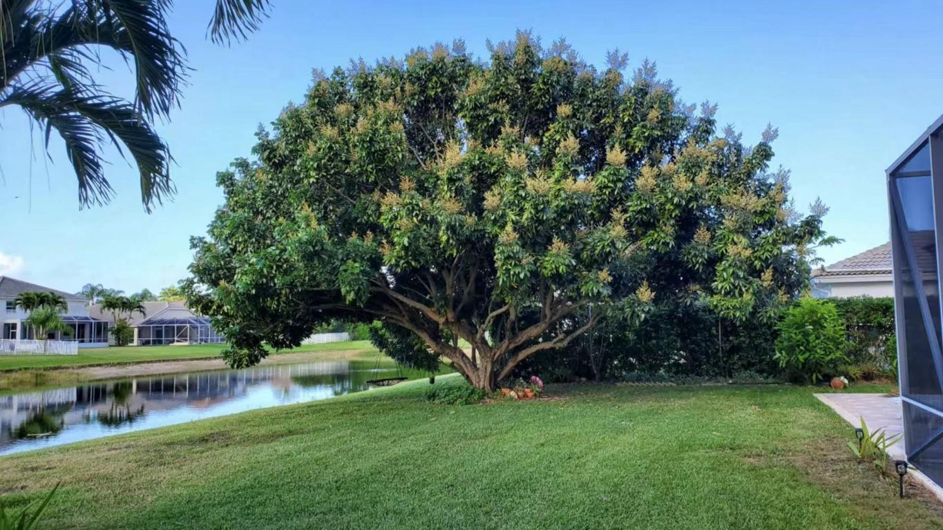 ORANGE POINT 1 - Residential