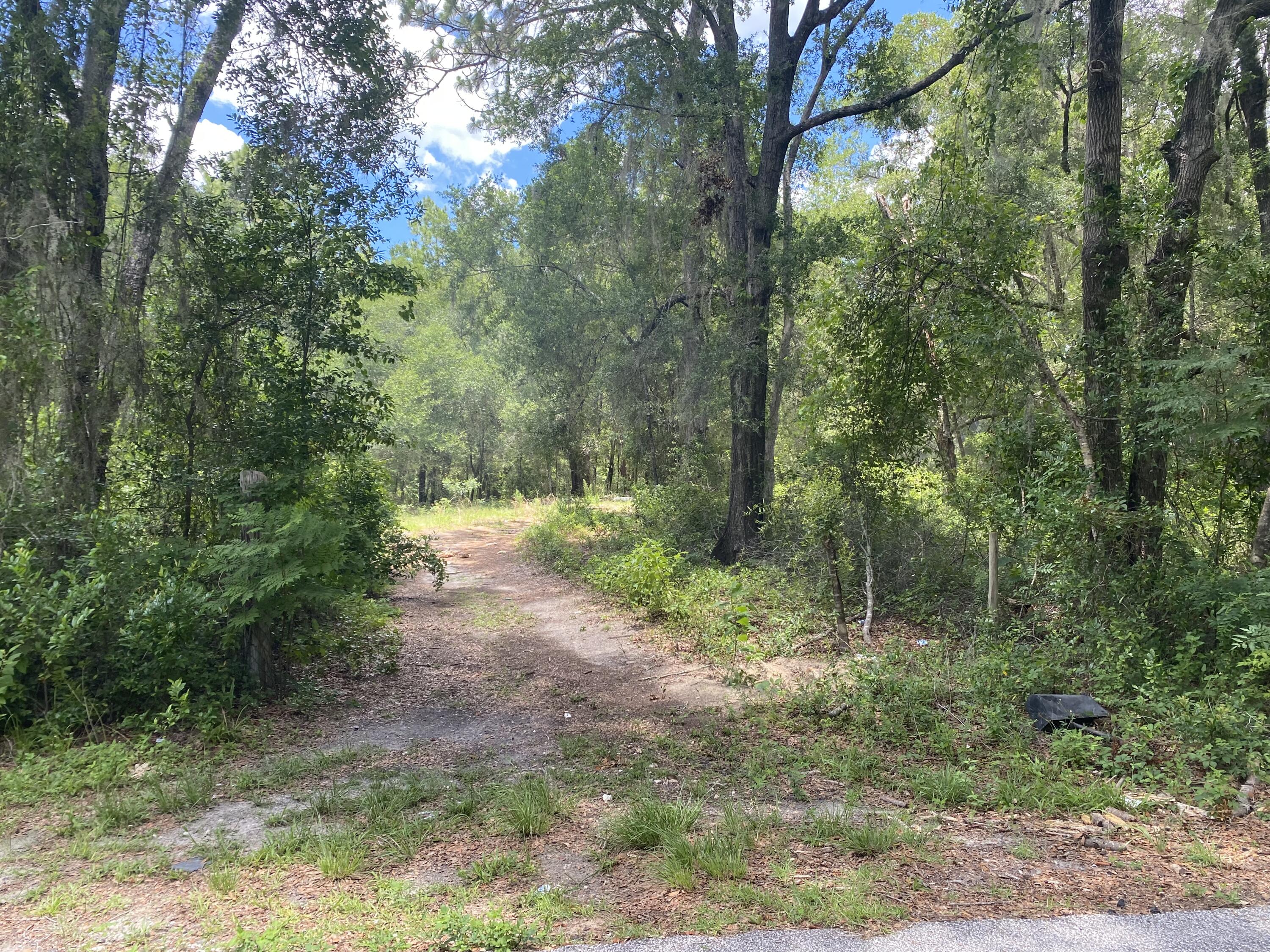 Build or bring your dream home on this beautiful high and dry semi clear 1/2-acre buildable lot, in Crystal River. This lot is located within just a few miles or Crystal Rivers Gulf and natural spring attractions sure to please any adventurer or fishing enthusiast. THIS HOMESITE is located on a paved road. Come and envision your new home on this flat, roomy lot with nice trees. SELLER FINANCING AVAILABLE