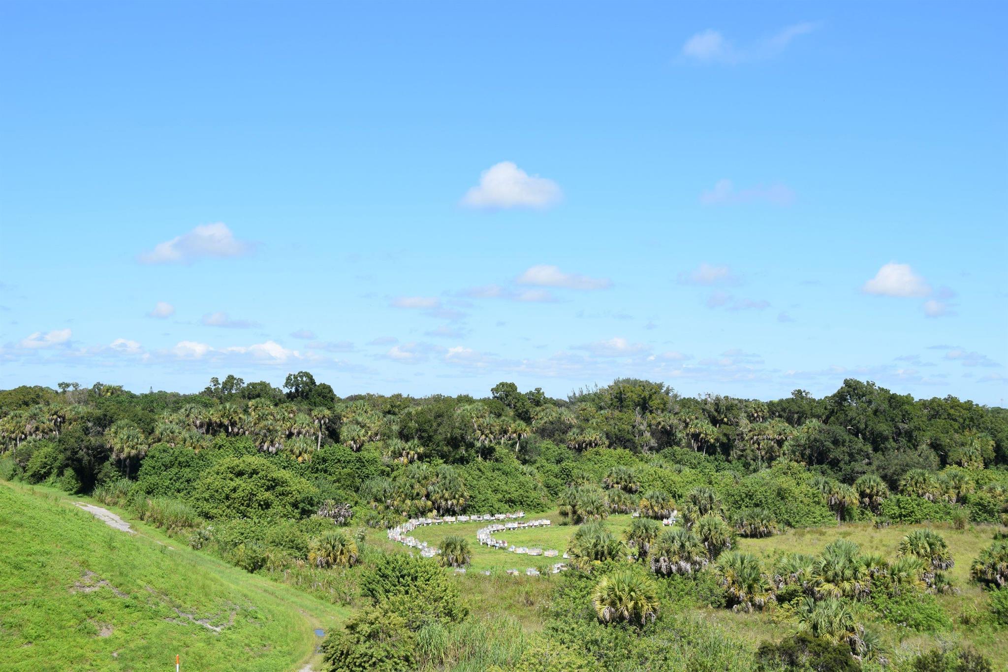 Unplatted Parcel/Indianto - Residential