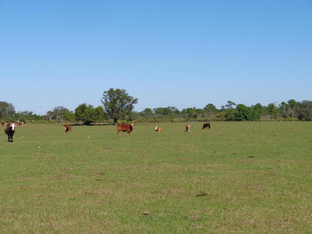 63000 Western Agricultura - Land