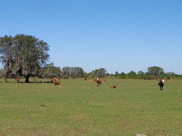 63000 Western Agricultura - Land