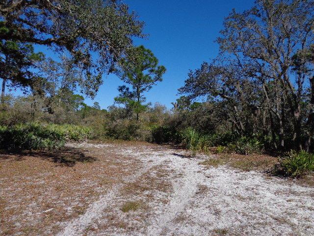 63000 Western Agricultura - Land