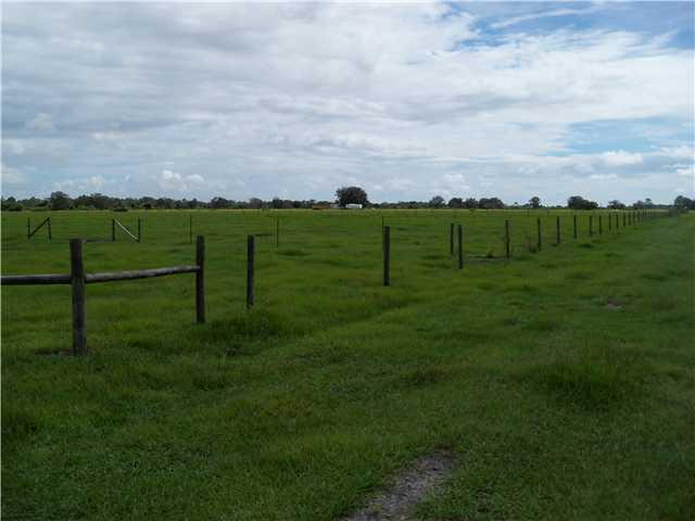 63000 Western Agricultura - Land