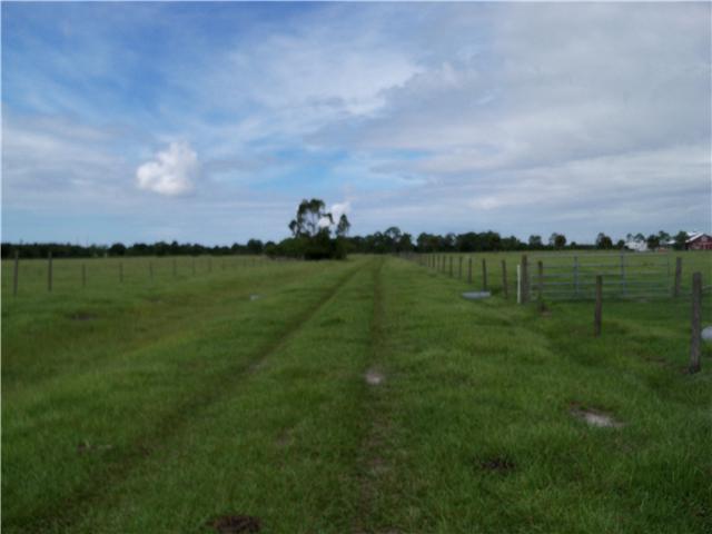 63000 Western Agricultura - Land