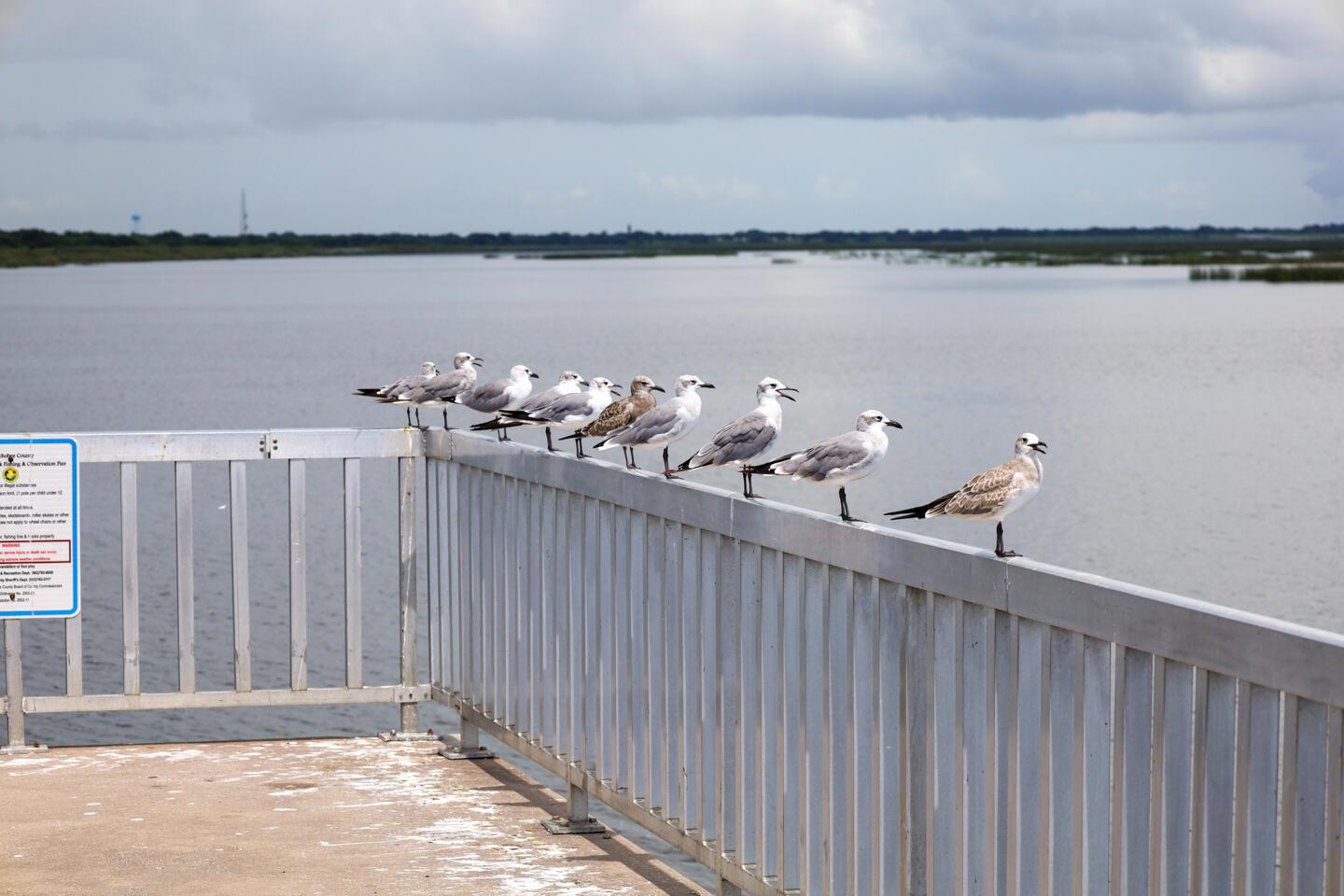 63000 Western Agricultura - Land