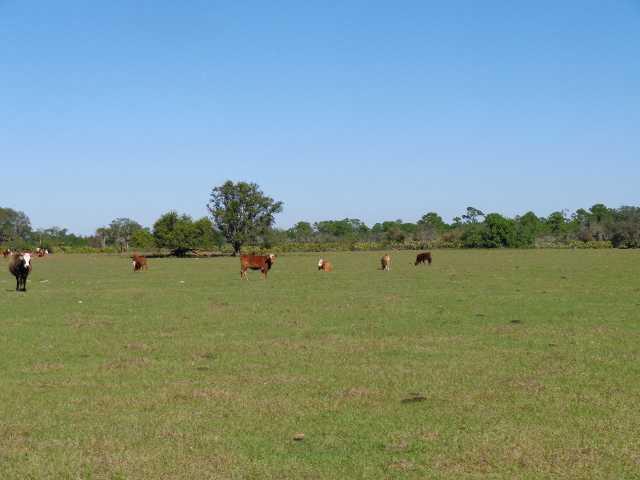 63000 Western Agricultura - Land