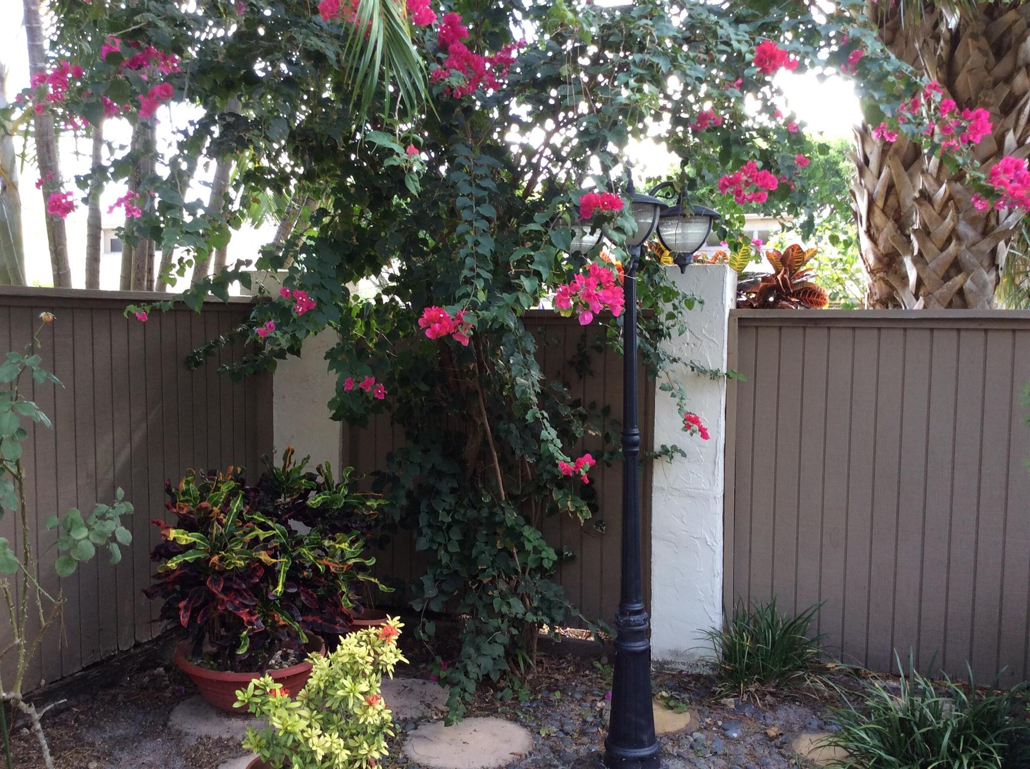 View photos, virtual tours, details... 241 Pleasant Wood Drive
