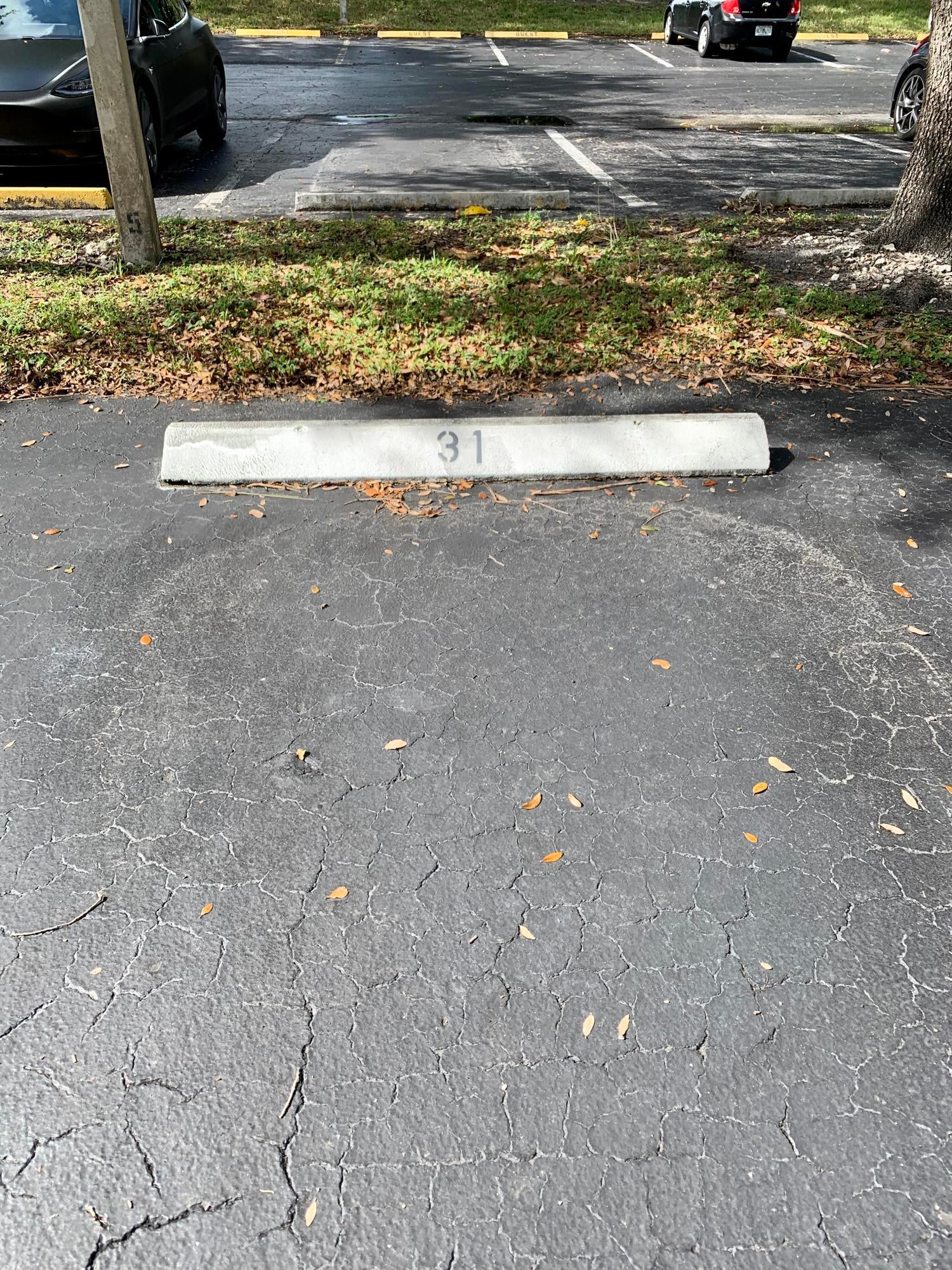 3100 W ROLLING HILLS Circle 309, Davie FL 33328