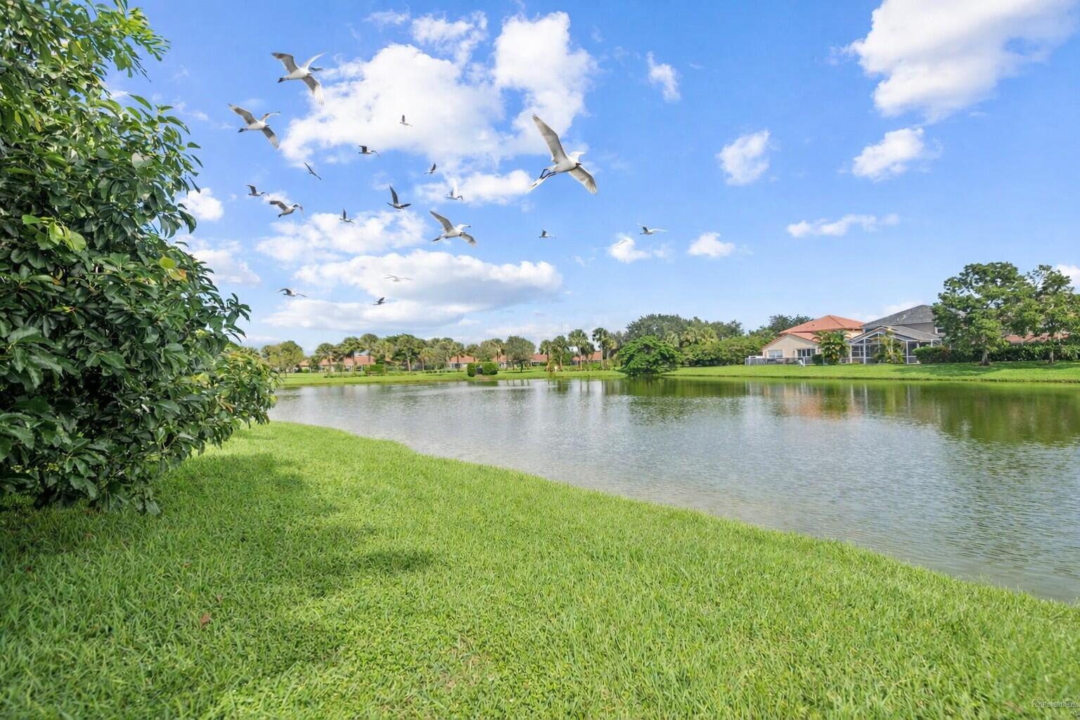 MIZNER POINTE OF BOCA VIA ANCHO - Residential