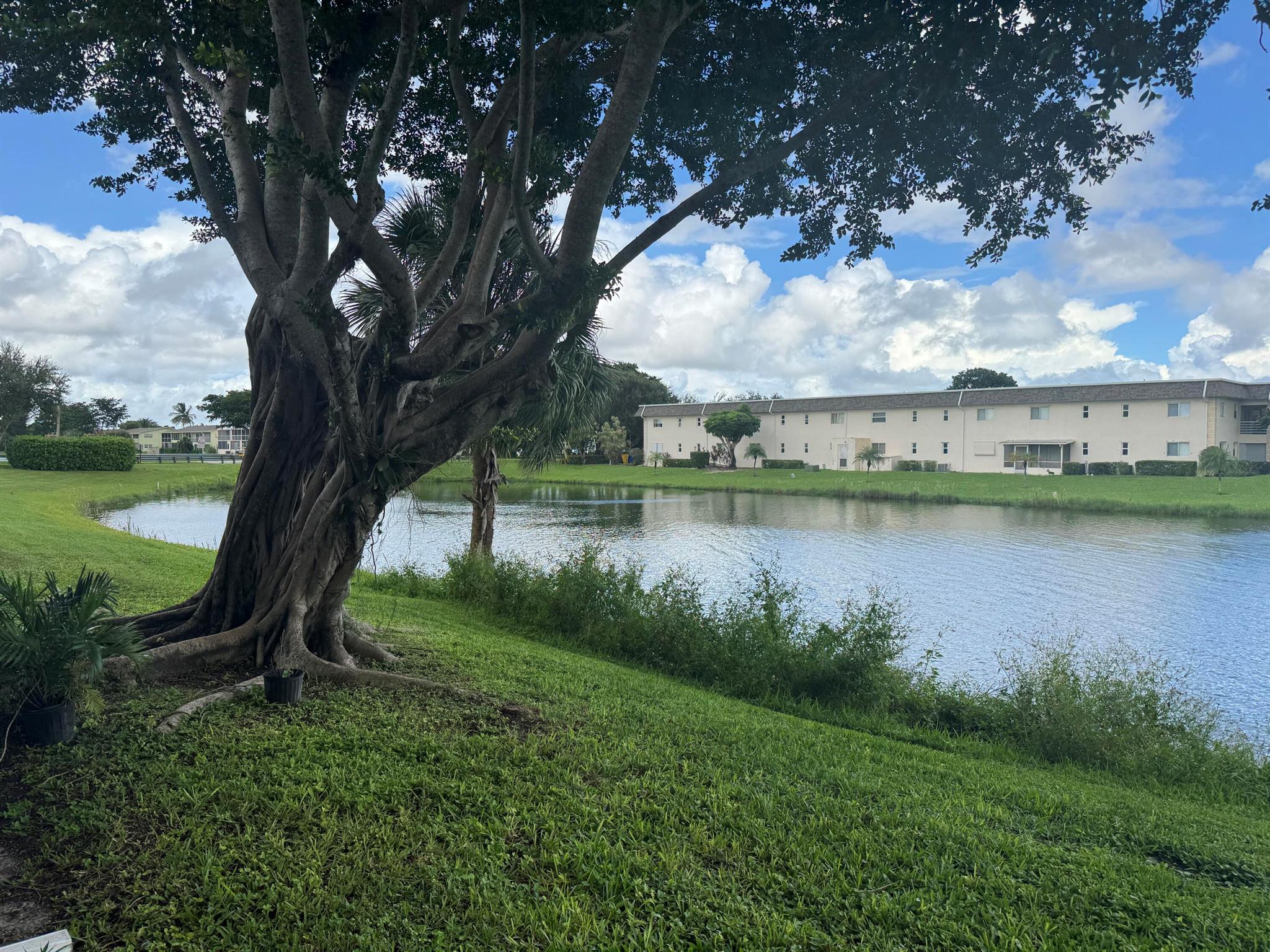 CHATHAM CONDOS - Residential