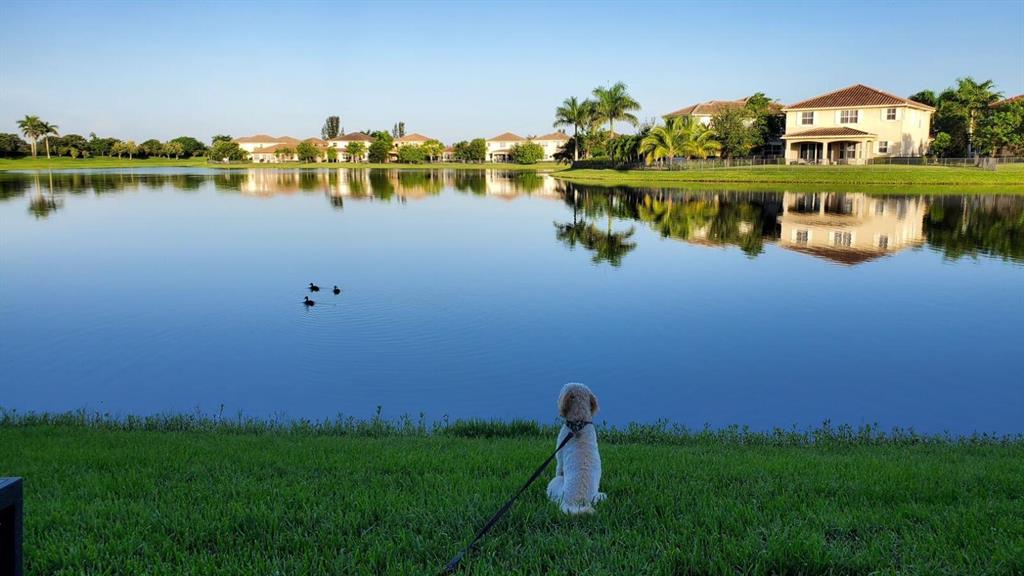 DEBUYS PLAT - Residential