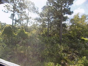 PINECROFT CONDO - Residential