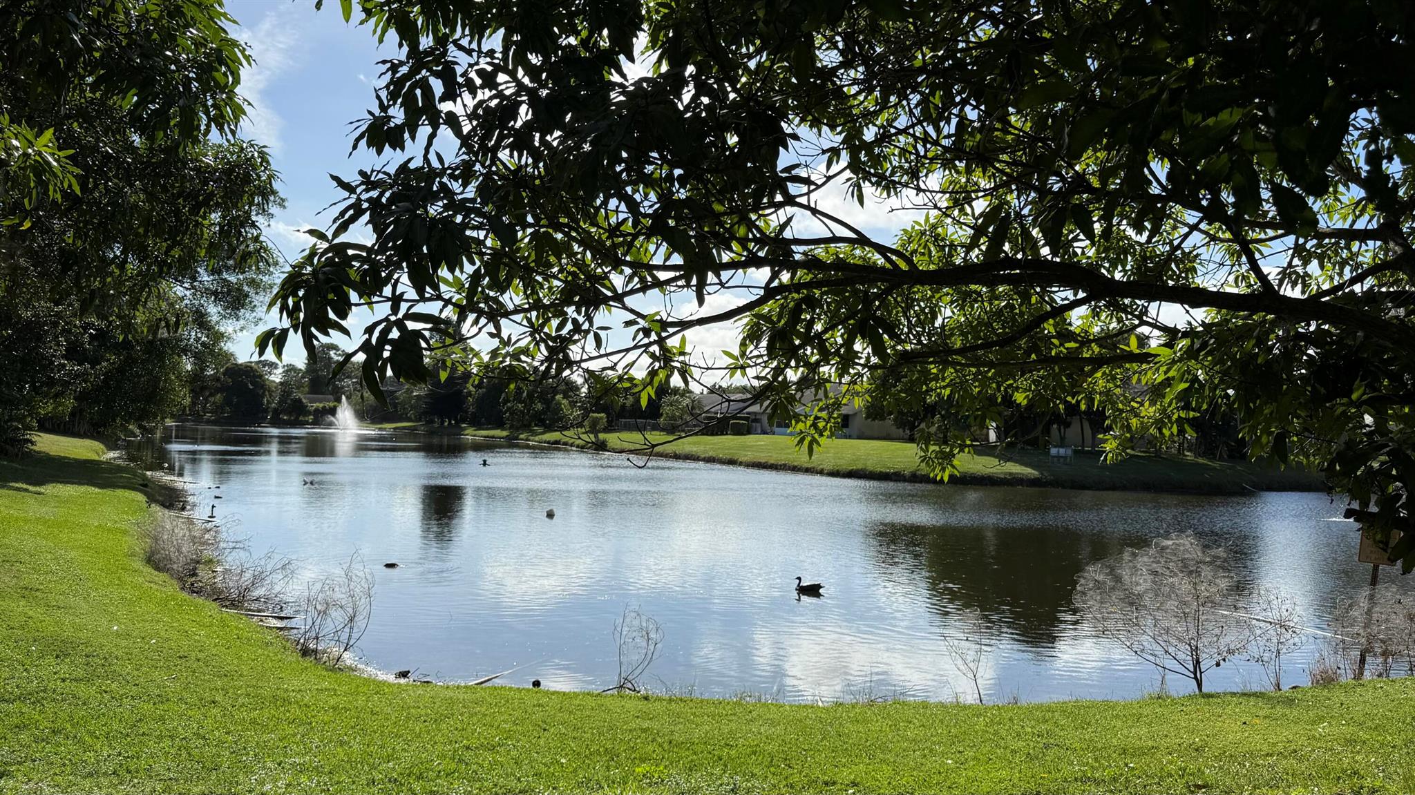 LEE ESTATES 4 - Residential