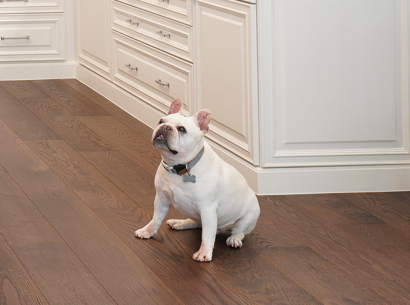 MAIDSTONE NO 1 OF PA - Residential