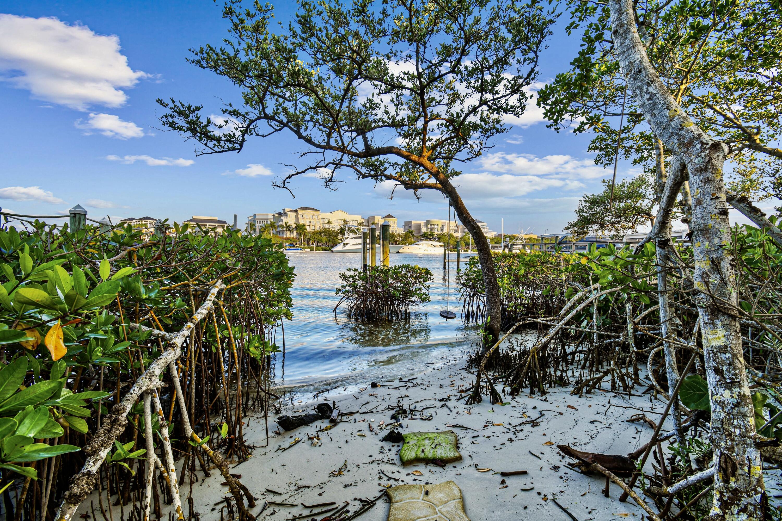 WATERS EDGE ESTATES - Residential