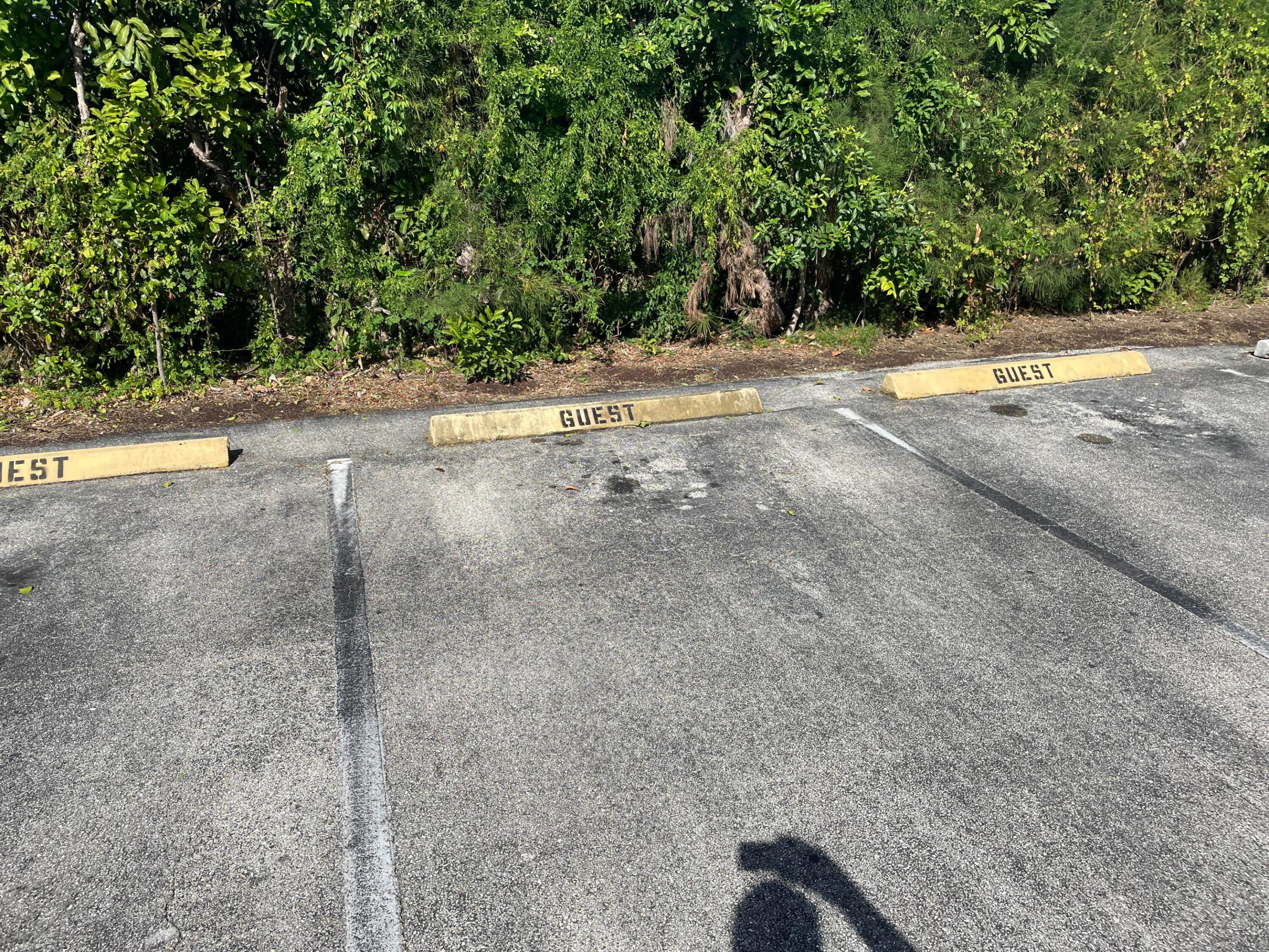 Regal Palms - Residential