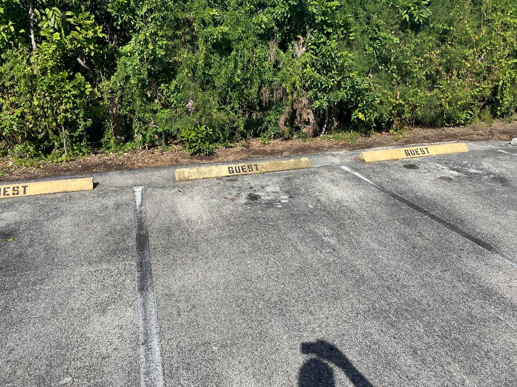 Regal Palms - Residential