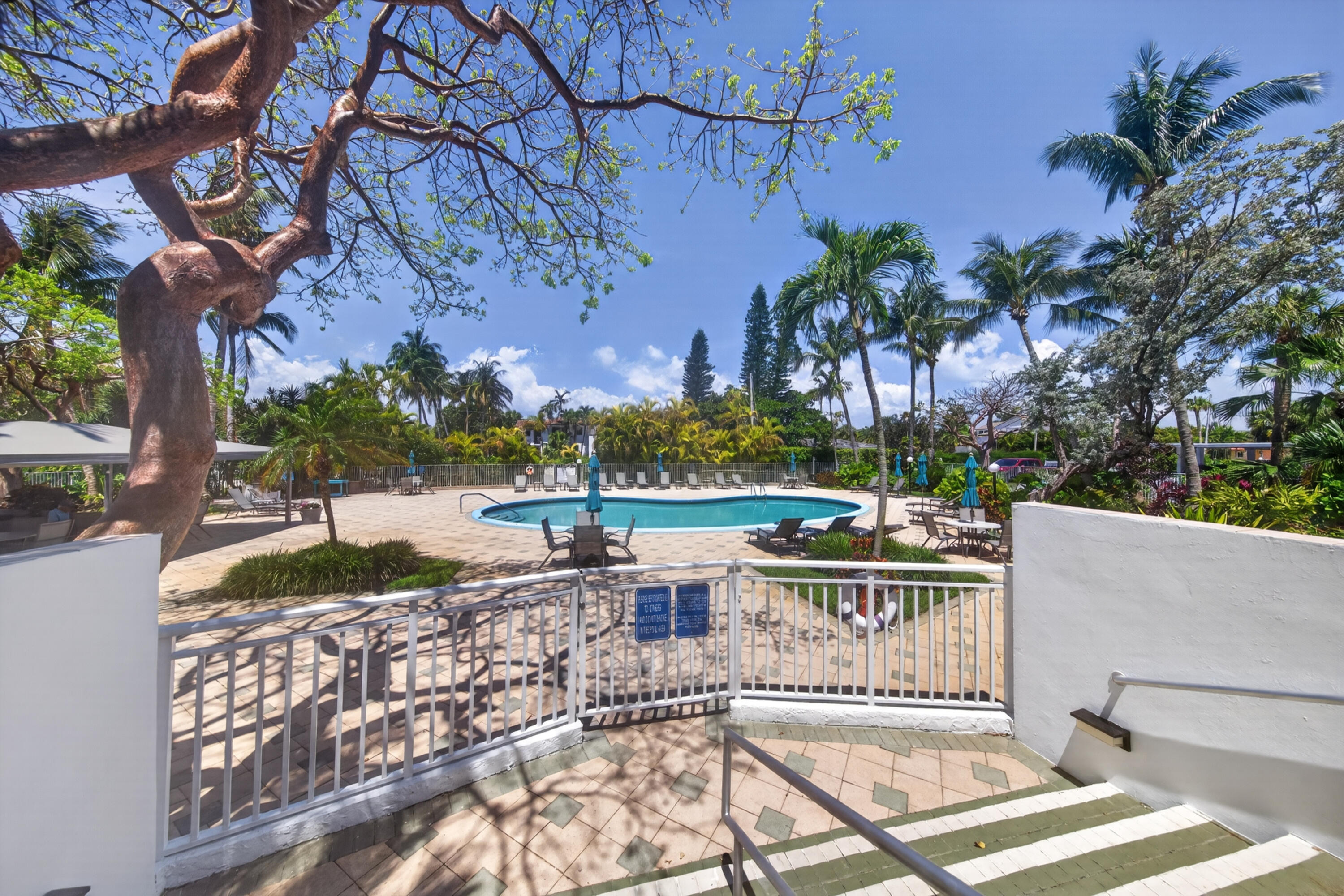 PATRICIAN CONDO - Residential Lease