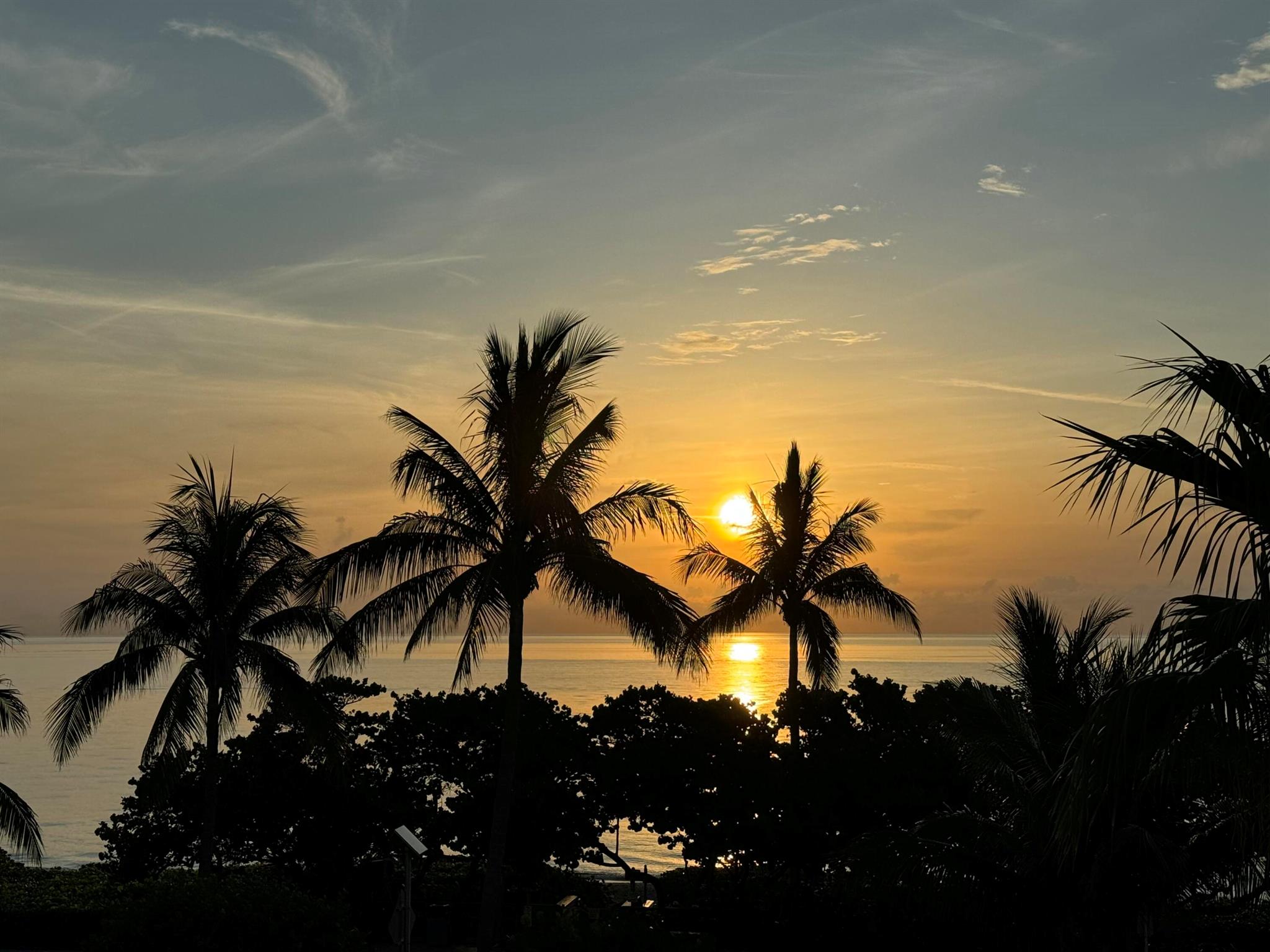 221 Ocean Grande Boulevard 503