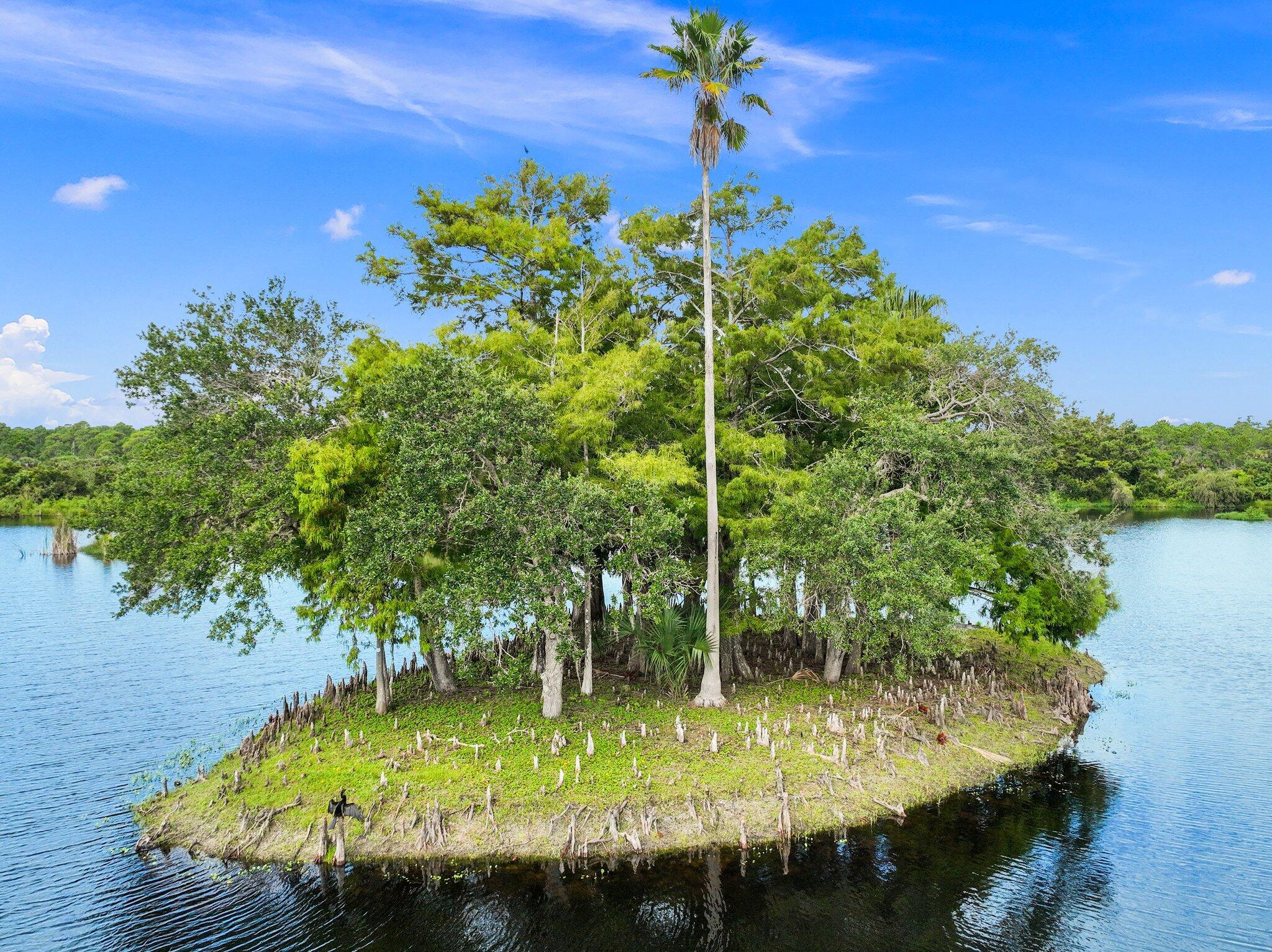 METES AND BOUNDS - Commercial Sale