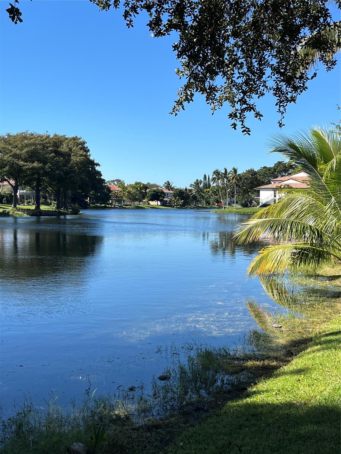 San Marino Cove - Residential