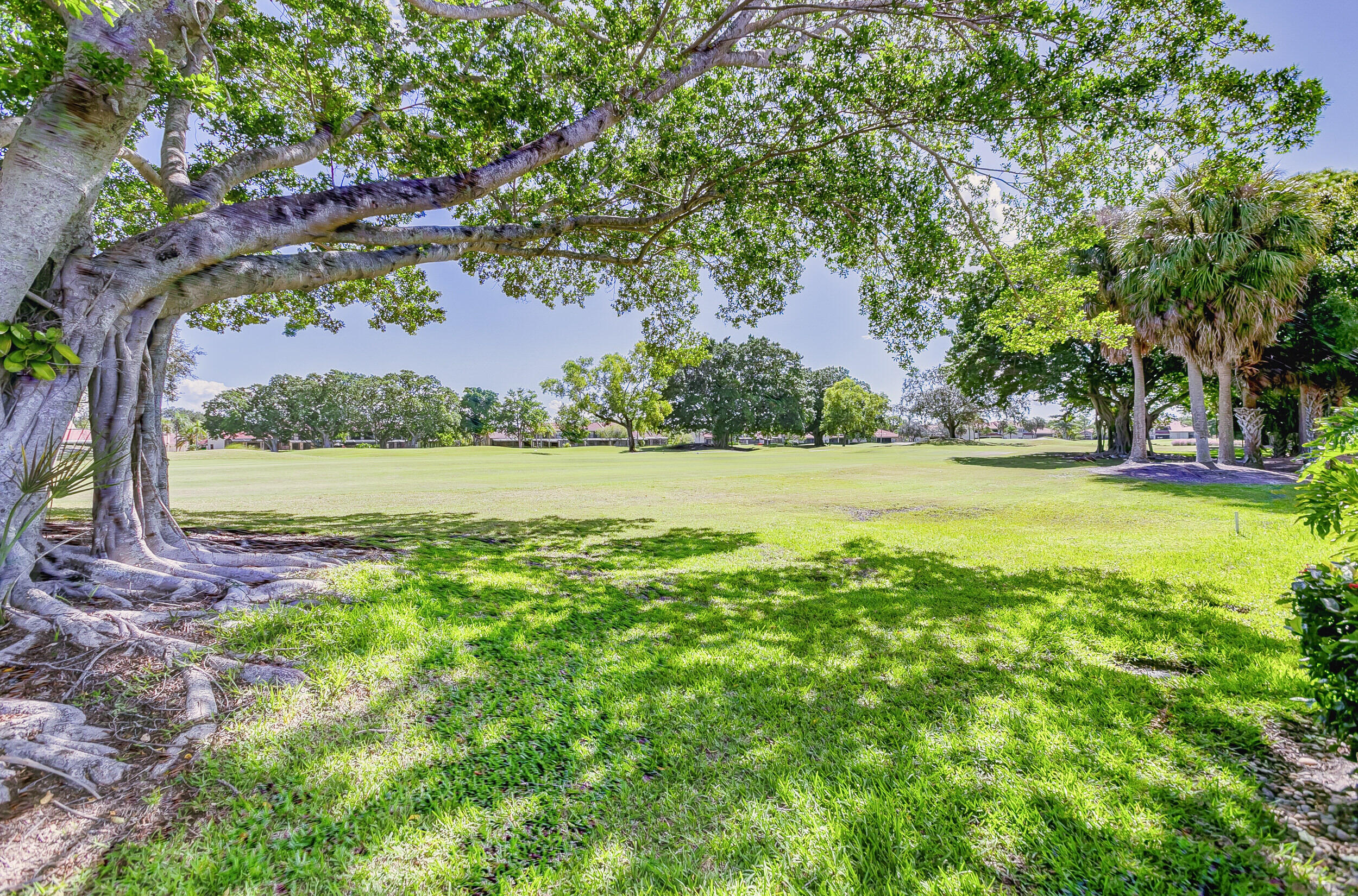 118 Monterey Pointe Drive