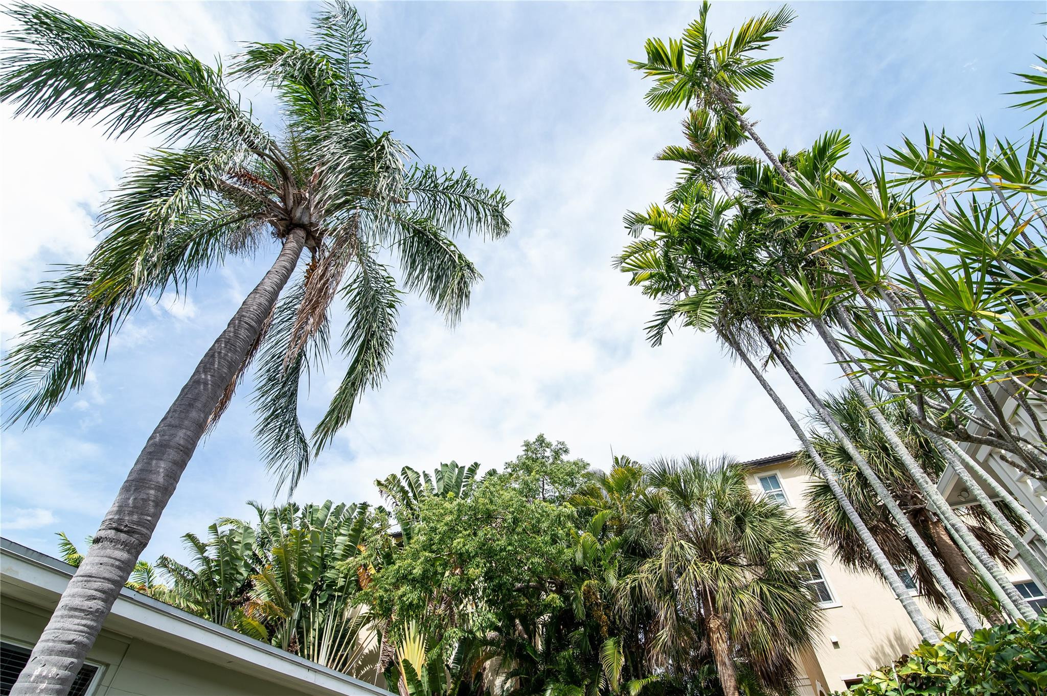 Mid Mari Condo - Residential Lease