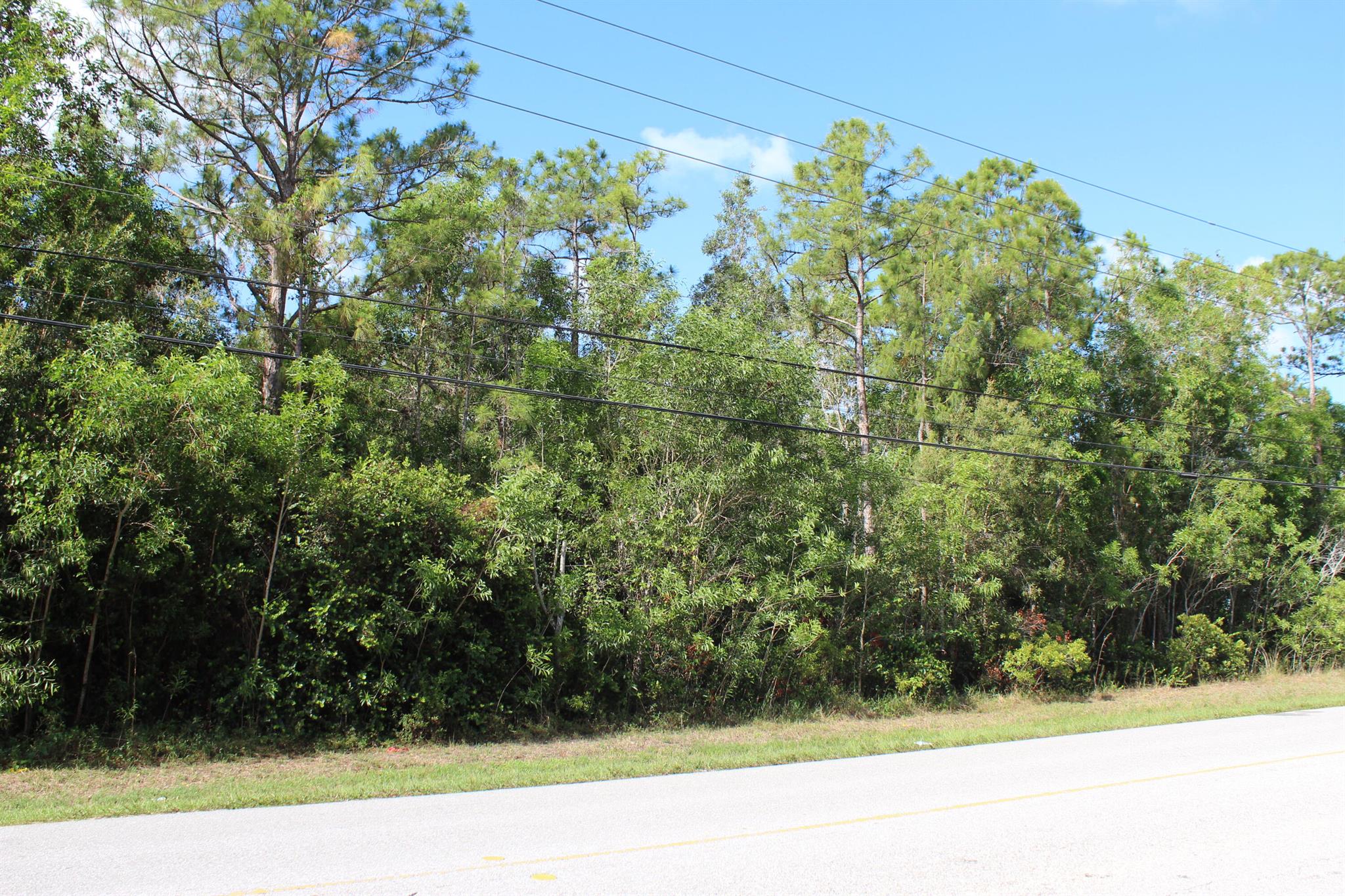 Loxahatchee - Land