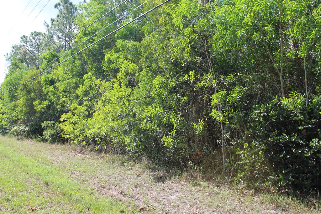 Photo of 17686 Hamlin Boulevard, Loxahatchee, FL 33470 (MLS # R10994414)