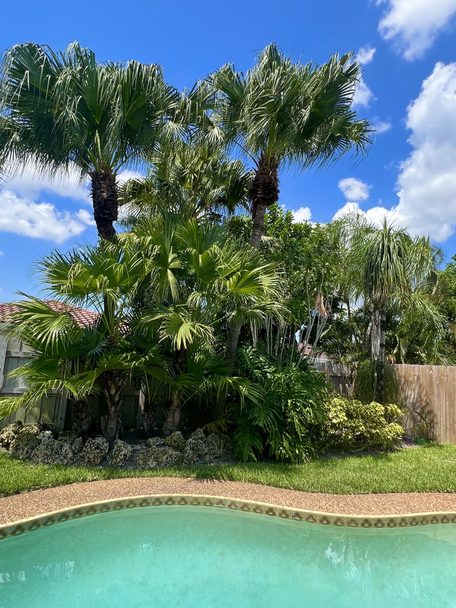 BOCA MADERA UNIT 1 - Residential Lease