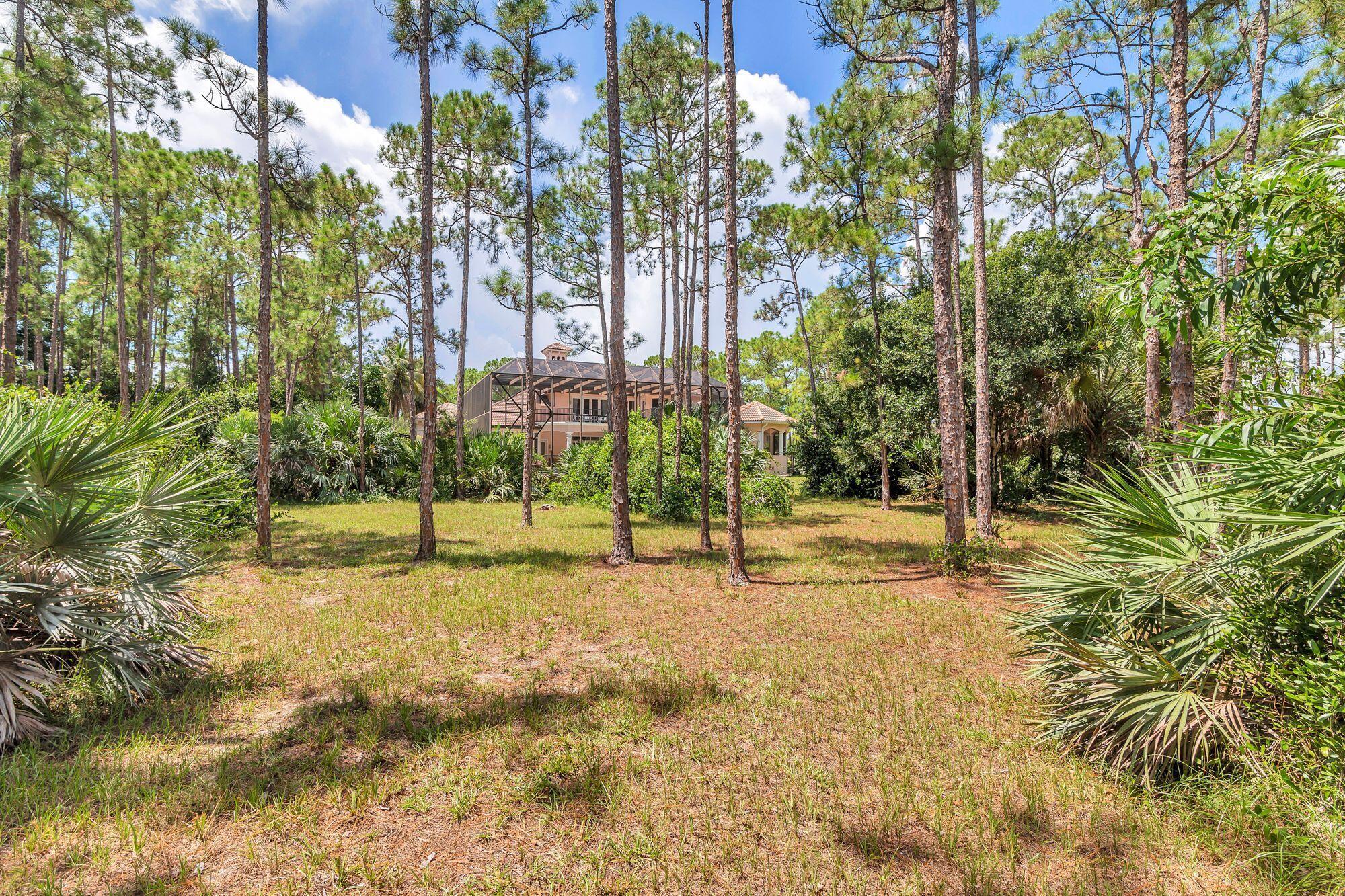 Caloosa - Residential