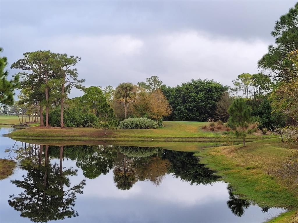 Photo of 1536 SW Cattail Court, Palm City, FL 34990 (MLS # R10768178)