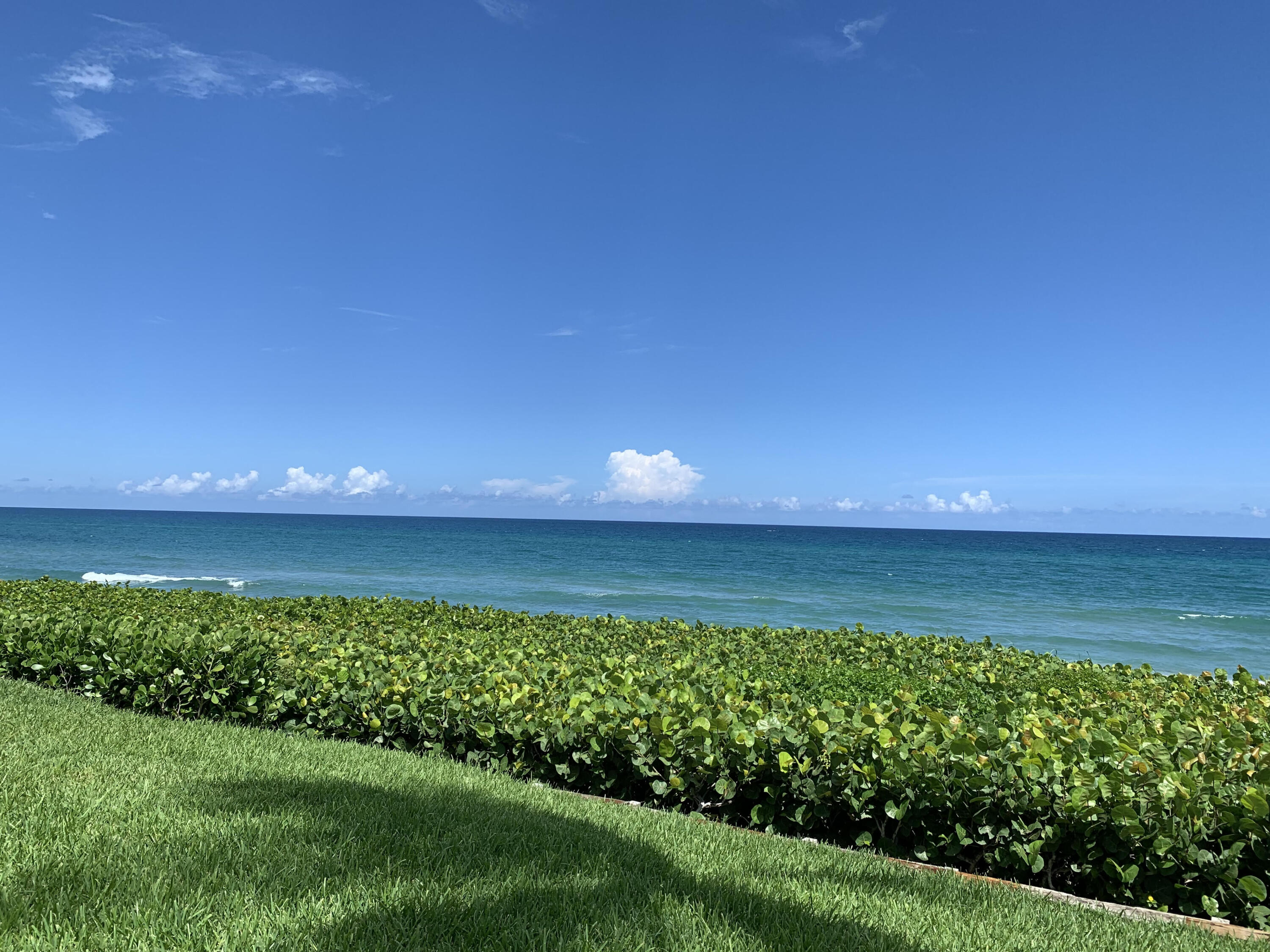 OCEAN TERRACE NORTH CONDO - Residential Lease