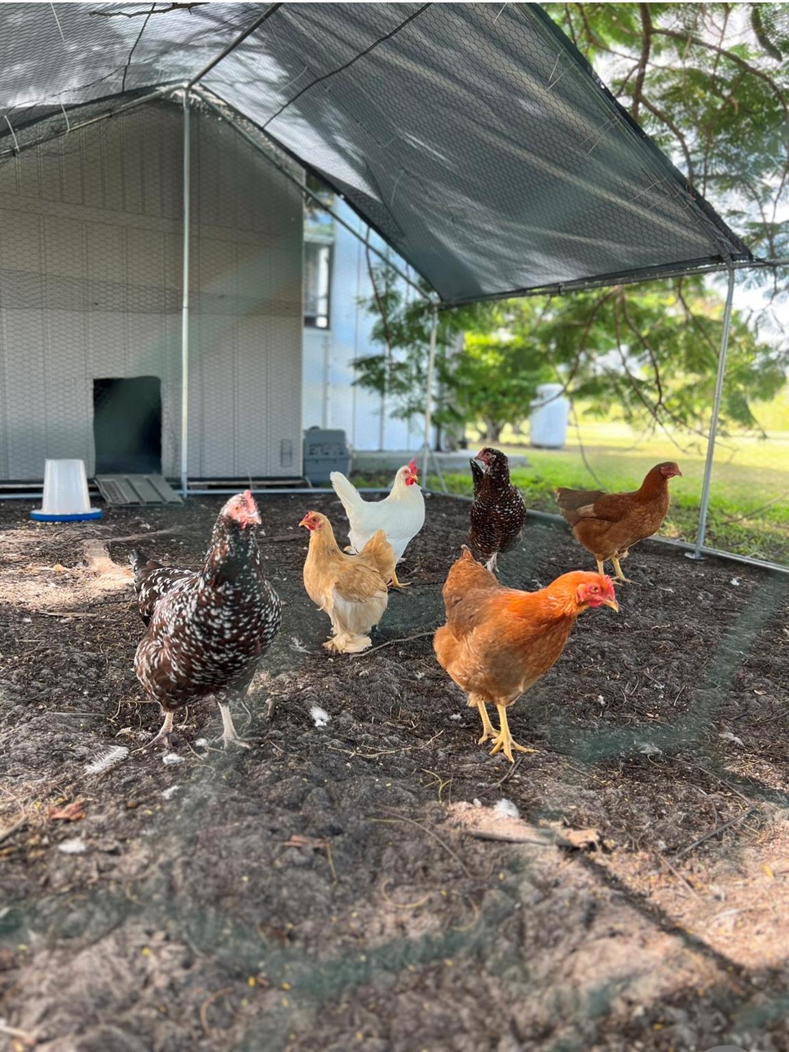 Indian River Farms - Residential