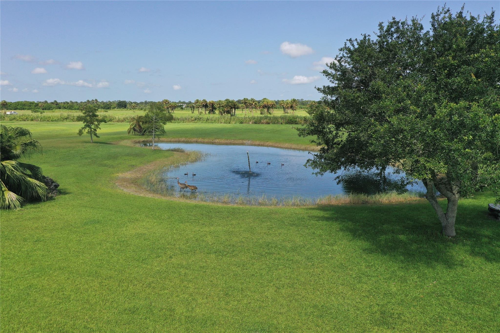 Indian River Farms - Residential