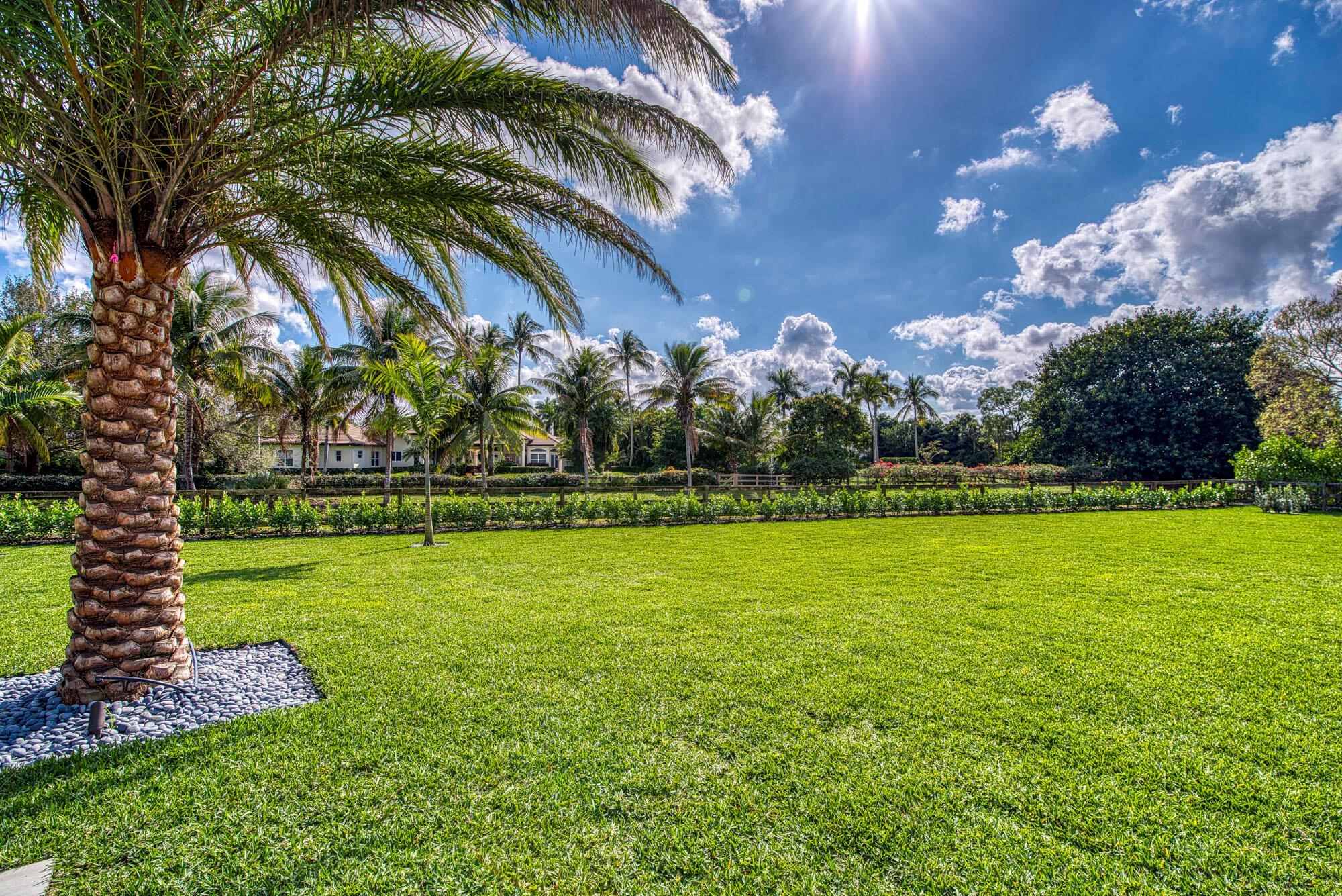 Steeplechase - Residential