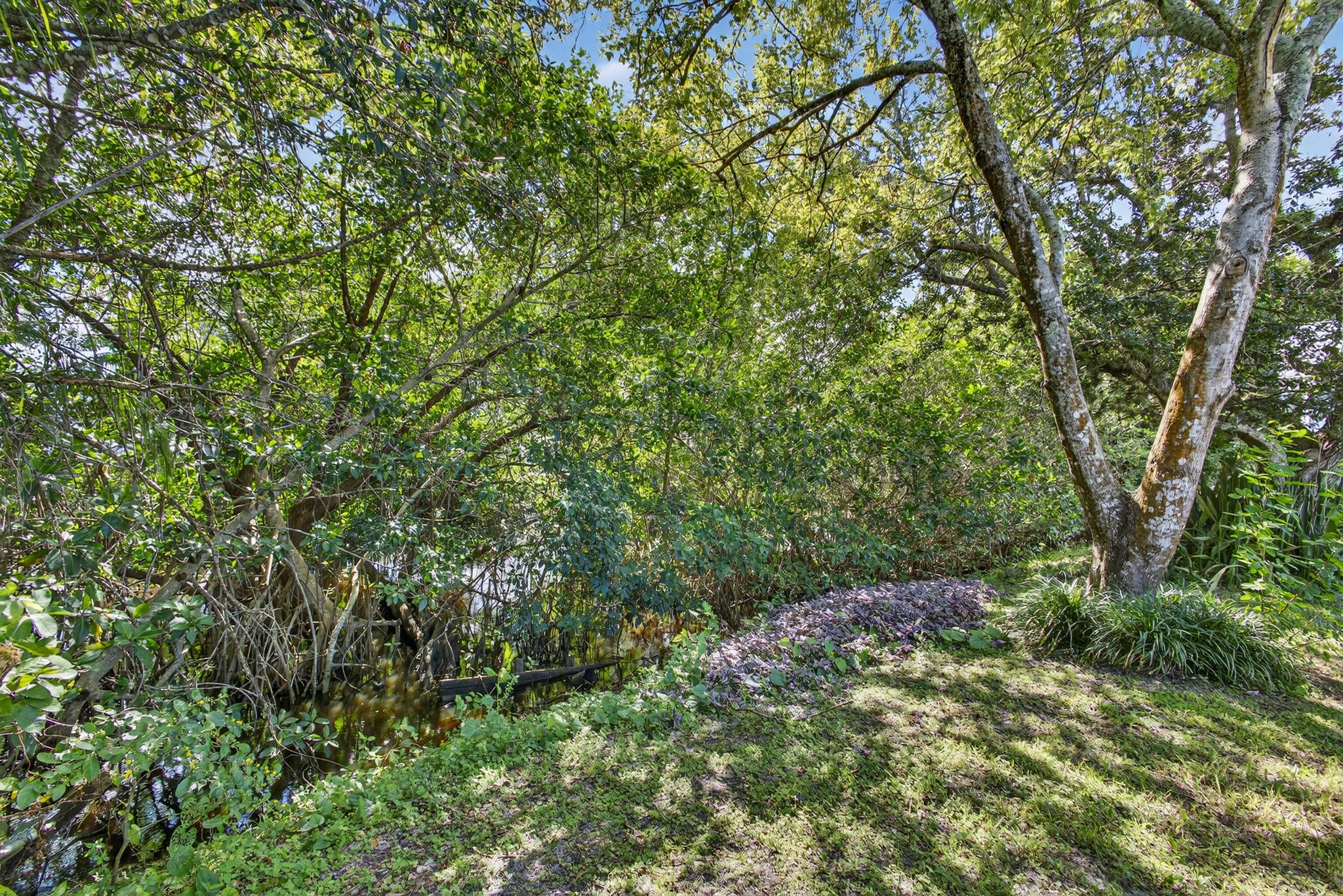 Jupiter River Estates Rep - Residential