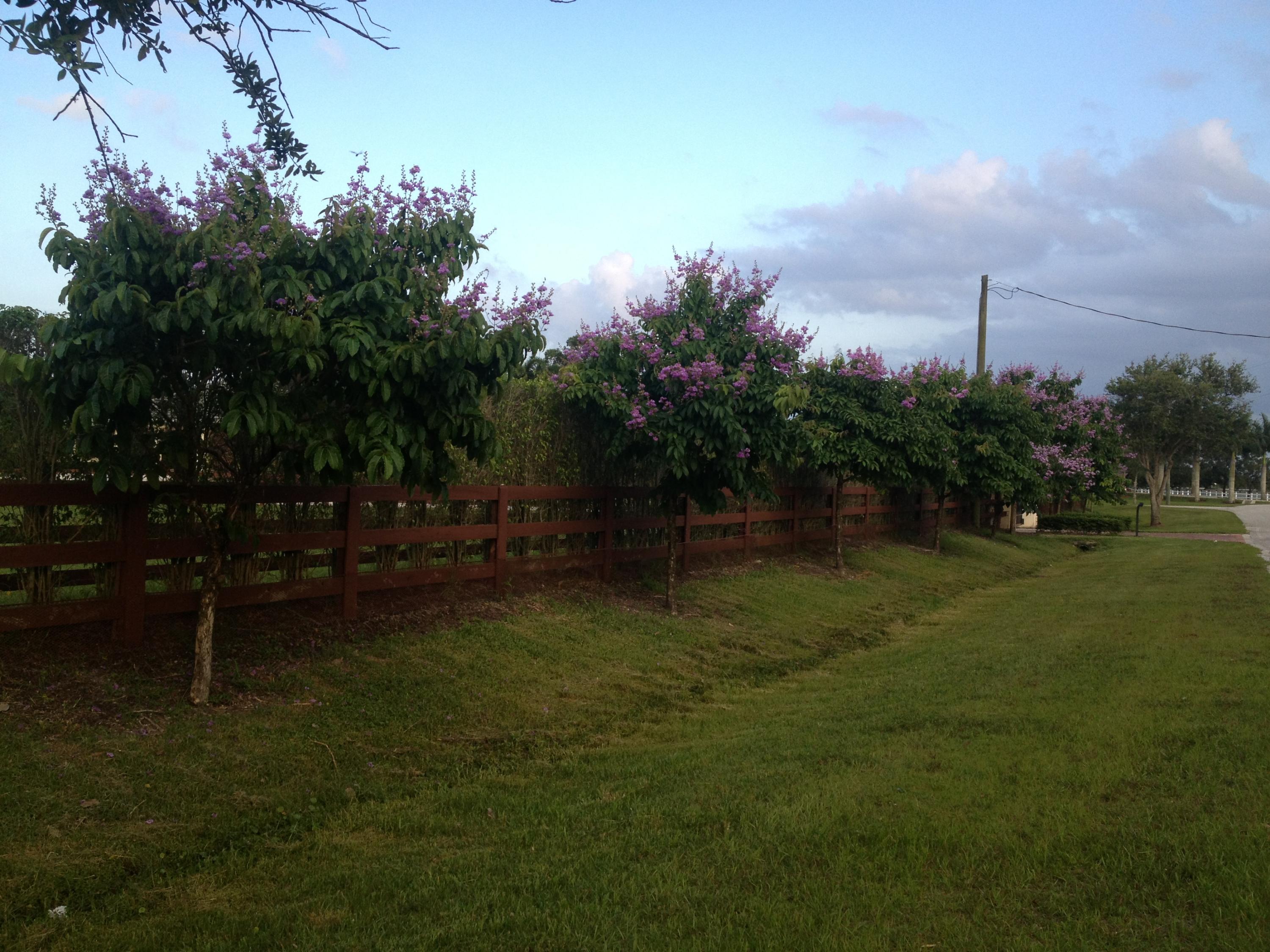 Palm Beach Point - Residential
