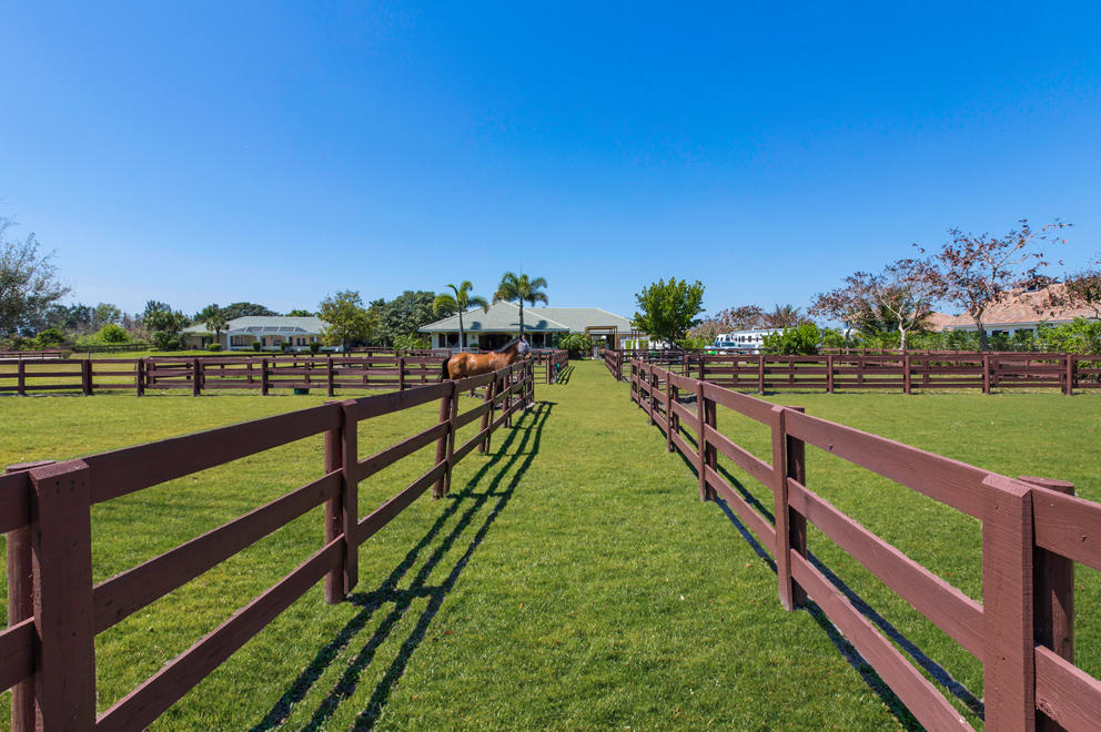 Palm Beach Point - Residential