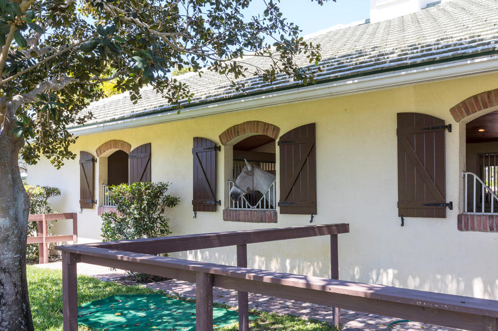 Palm Beach Point - Residential