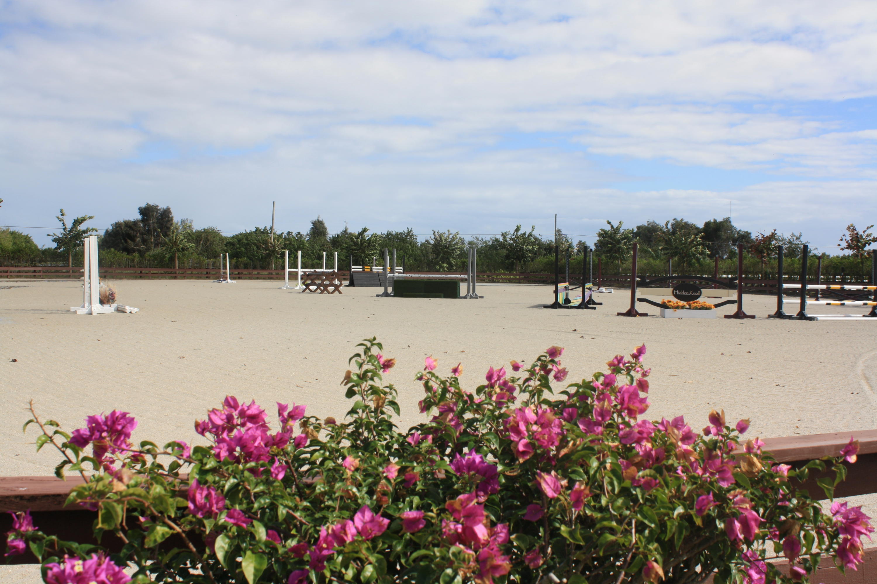 Palm Beach Point - Residential