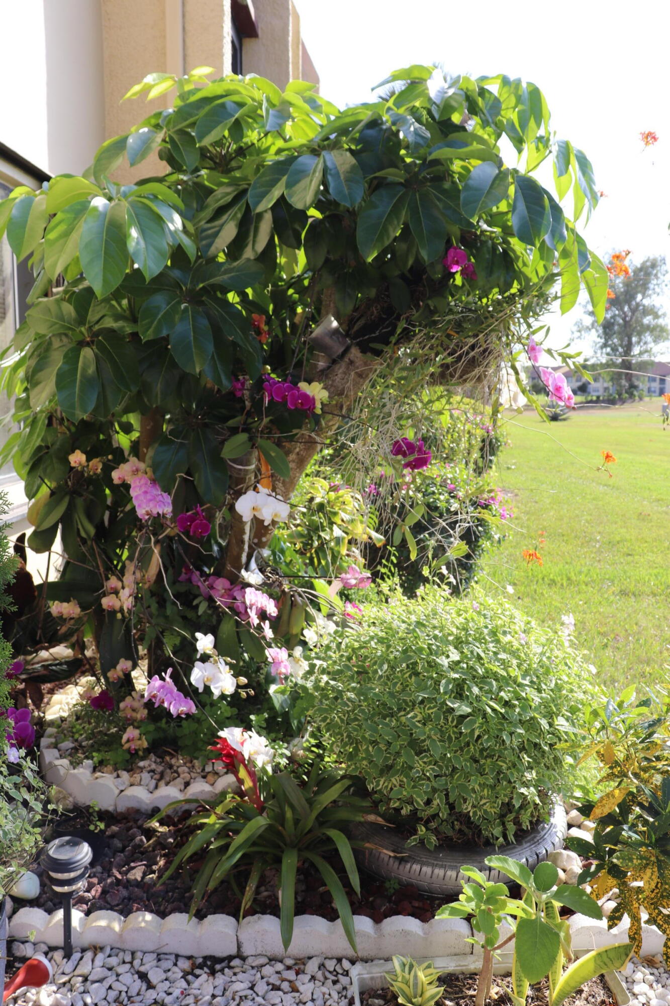 FOUNTAINS OF PALM BEACH CONDO 3 - Residential