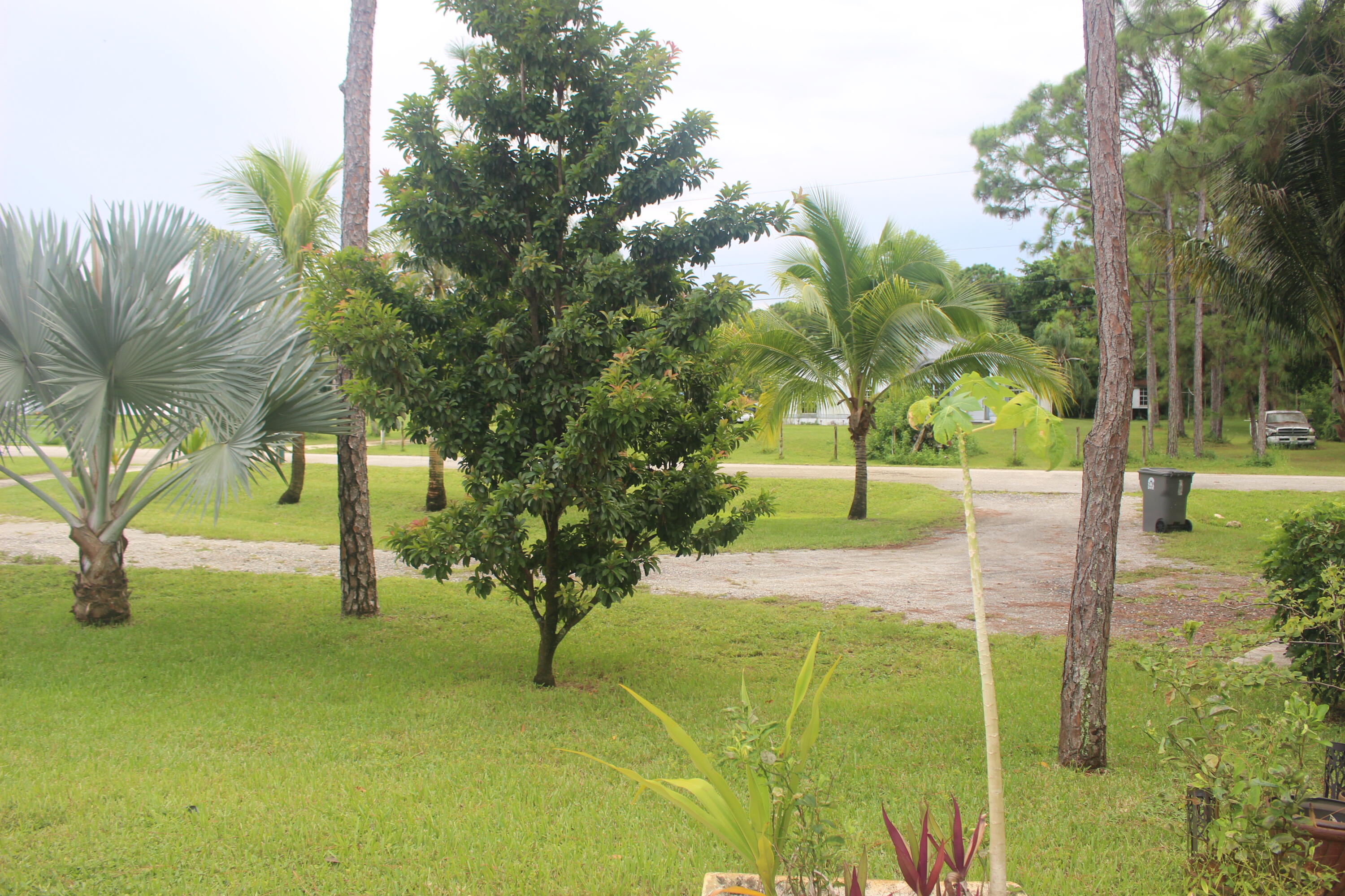 The Acreage - Residential Lease