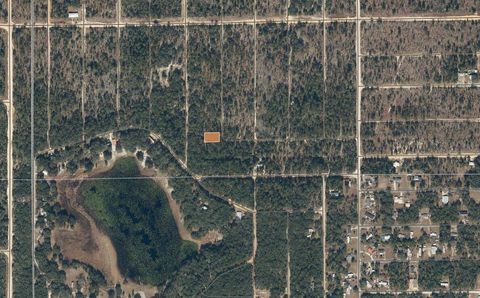 Tbd Flamingo Drive Interlachen FL 32148