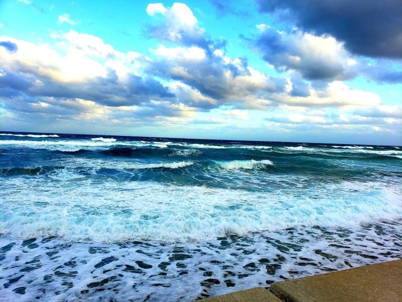 MAYFAIR HOUSE CONDO - Residential